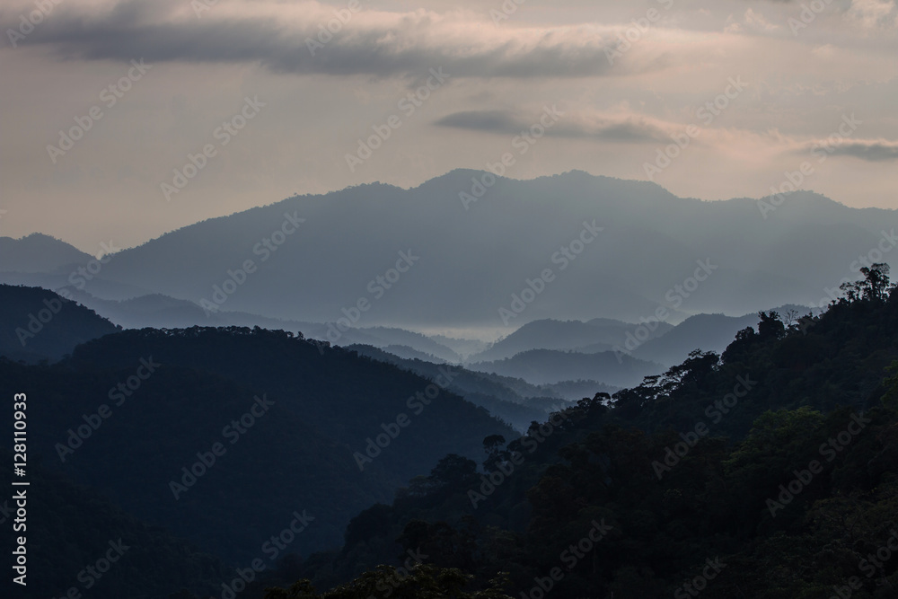 sea of fog with forests as foreground