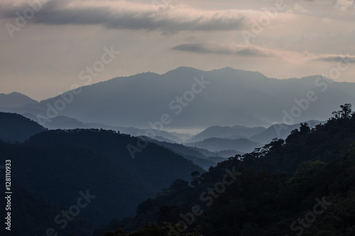 sea of fog with forests as foreground