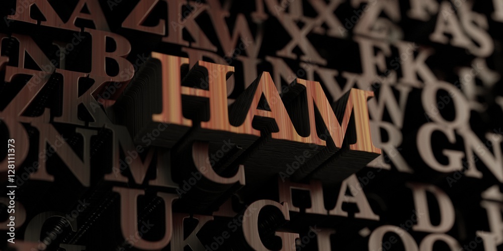 Ham - Wooden 3D rendered letters/message.  Can be used for an online banner ad or a print postcard.