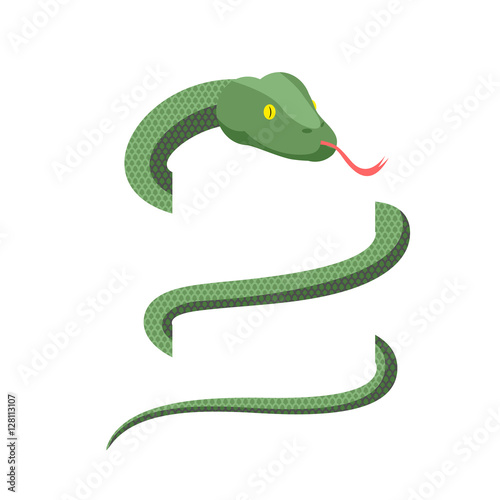 Snake wraps isolated. Cobra on white background. Green Reptile