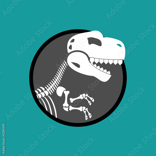 Dinosaur skeleton isolated. Remains of Tyrannosaurus. Skull T-Re