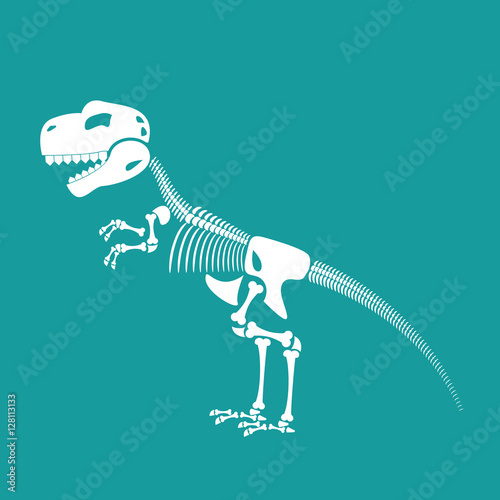 Dinosaur skeleton isolated. Remains of Tyrannosaurus. Skull T-Re