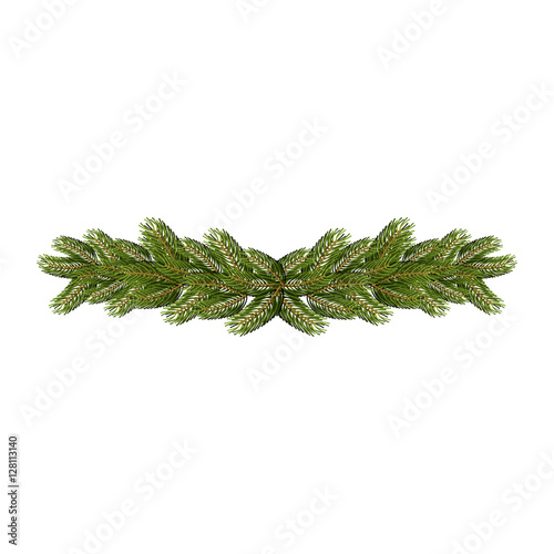 Spruce branches isolated. Christmas and New Year accessory