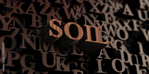 Soil - Wooden 3D rendered letters/message. Can be used for an online banner ad or a print postcard.