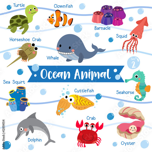 Ocean Animal cartoon on white background with animal name. Turtle. Whale. Squid. Crab. Dolphin. Oyster. Clownfish. Barnacle. Cuttlefish. Horseshoe Crab. Seahorse. Vector illustration. Set 2.