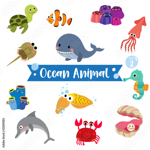 Ocean Animal cartoon on white background. Turtle. Whale. Squid. Crab. Dolphin. Oyster. Clownfish. Barnacle. Cuttlefish. Sea Squirt. Horseshoe Crab. Seahorse. Vector illustration. Set 2.