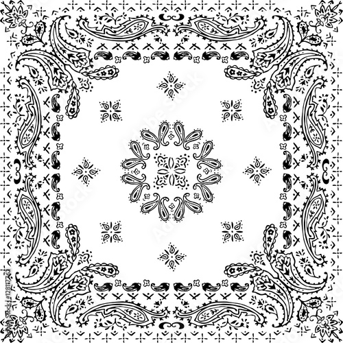Paisley pattern illustration