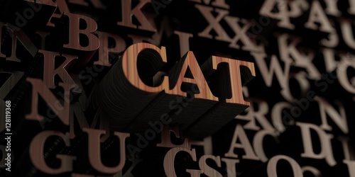 Cat - Wooden 3D rendered letters/message. Can be used for an online banner ad or a print postcard.