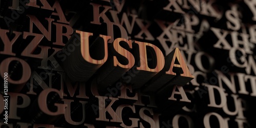 Usda - Wooden 3D rendered letters/message.  Can be used for an online banner ad or a print postcard. photo