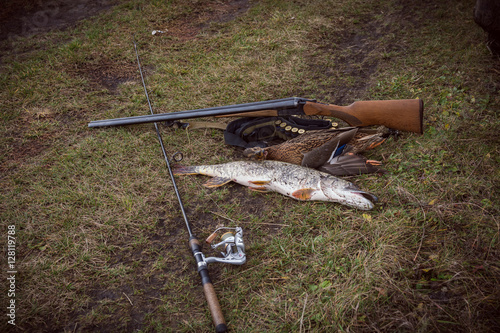 Fish and duck