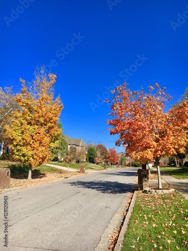 Suburb street with autumn trees