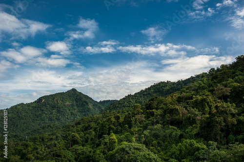 Mountains scenery background. Forest in  National Park.