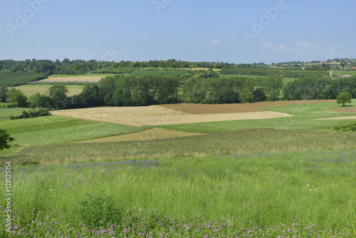 Paesaggio di campagna.
