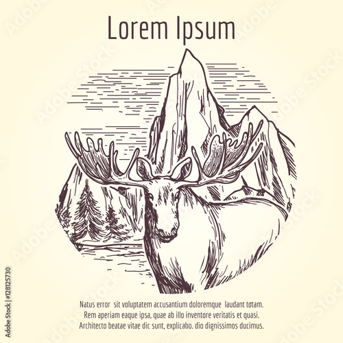 Hand drawn elk on mountain landscape vector. Tourist logo or banner design