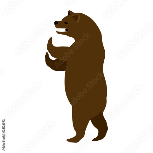 Bear icon. Animal wild nature wildlife and character theme. Isolated design. Vector illustration photo