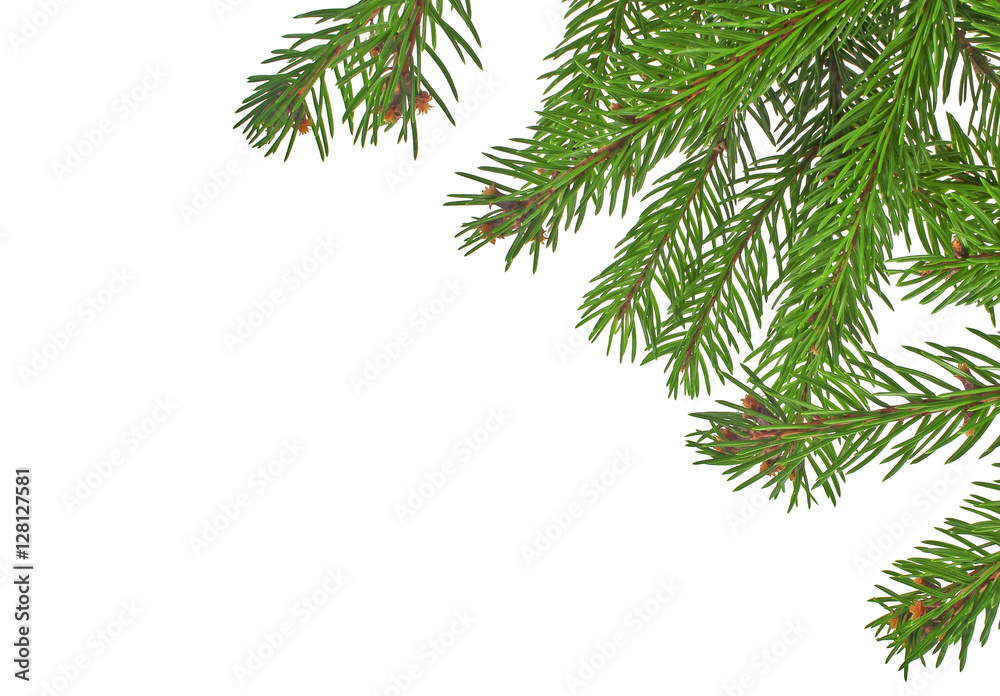 Christmas green framework isolated on white background Christmas green framework isolated on white background