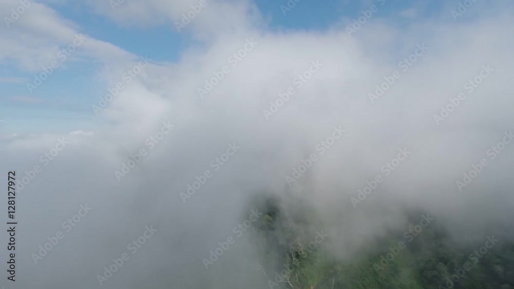 雲海へ昇る 雲海へ昇る