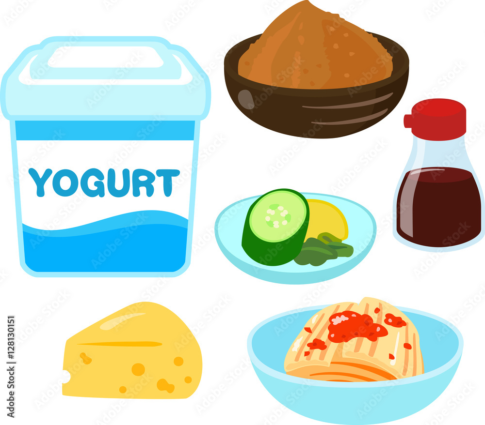 乳酸菌を含む食品のイラストセット Stock Vector Adobe Stock