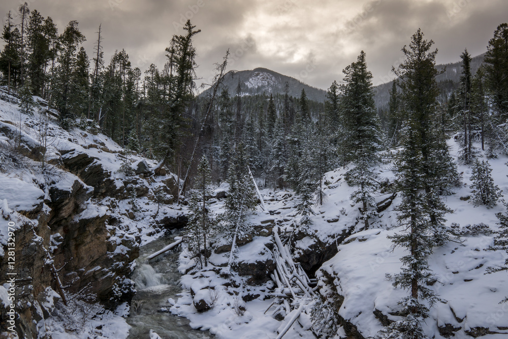 Fototapeta premium Adams Falls, Rocky Mountain National Park