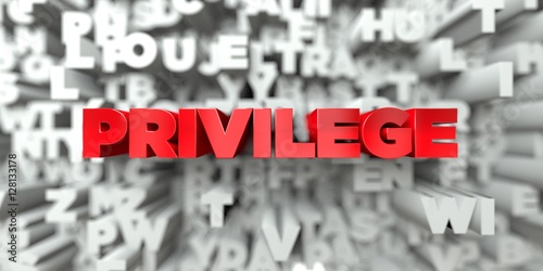 PRIVILEGE -  Red text on typography background - 3D rendered royalty free stock image. This image can be used for an online website banner ad or a print postcard.