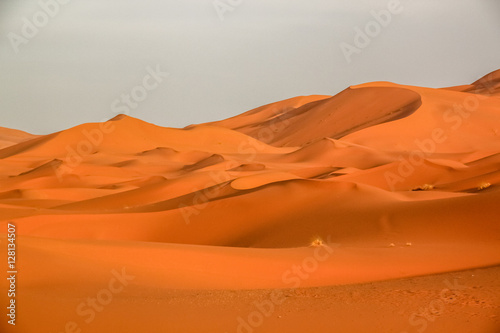 Stunning sand dunes of Merzouga