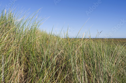 L  s     D  nemark  Blick von der gro  en Danzigmann-D  ne durch Strandhafer auf die nahezu unber  hrte Heide- und Moorlandschaft Syrsig