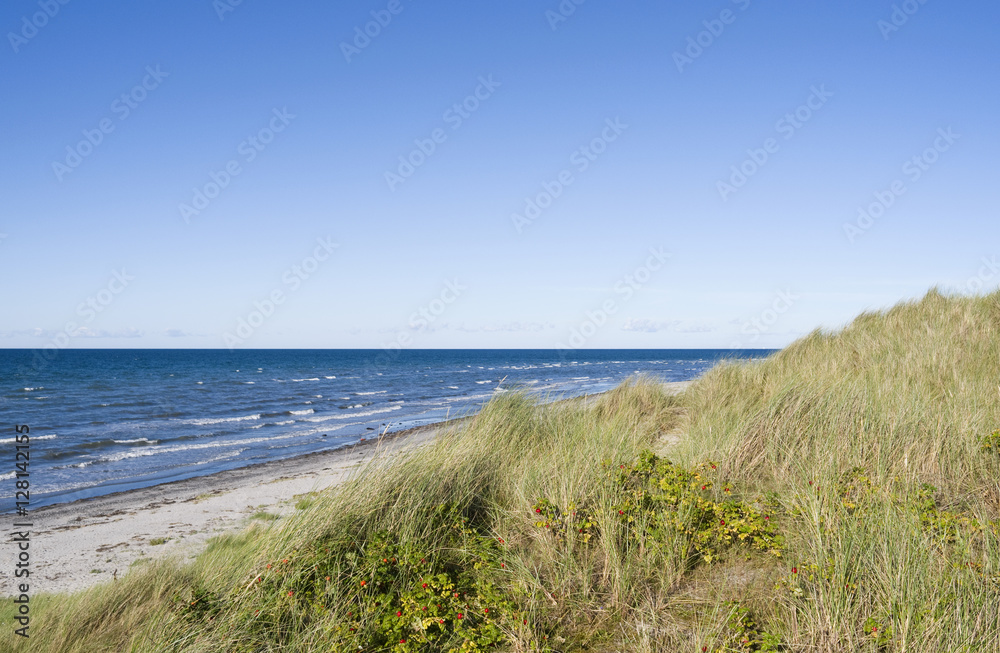Læsø / Dänemark: Blick von der großen Düne am Danzigmann-Strand über das scheinbar endlose Meer