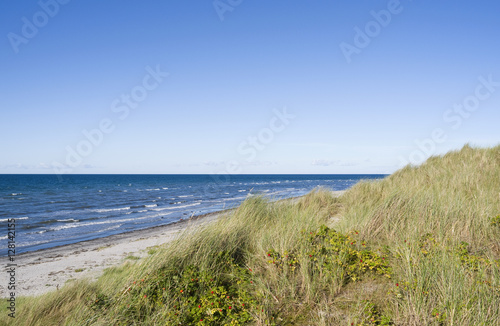 Fototapeta Naklejka Na Ścianę i Meble -  Læsø / Dänemark: Blick von der großen Düne am Danzigmann-Strand über das scheinbar endlose Meer