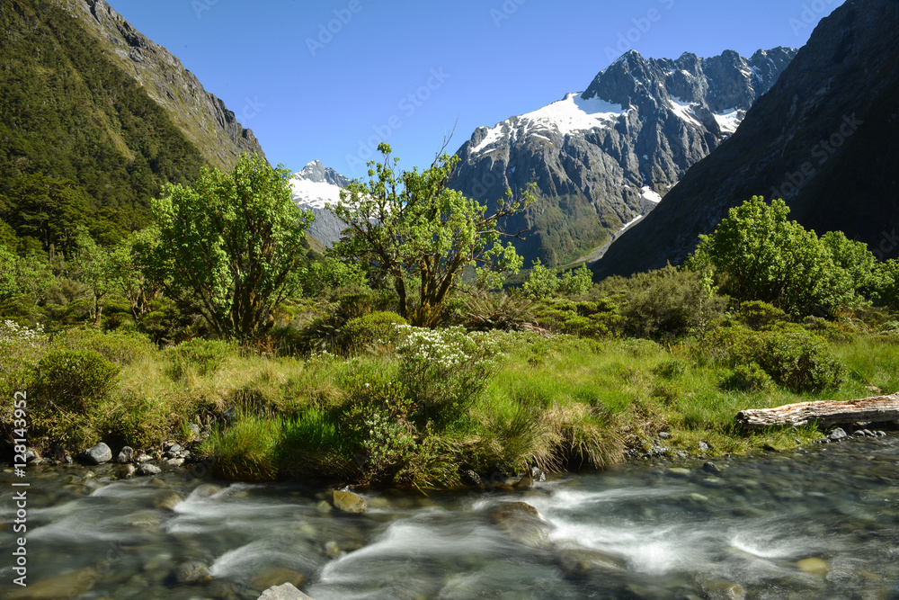 Bachlauf in den Alpen von Neuseeland Bachlauf in den Alpen von Neuseeland