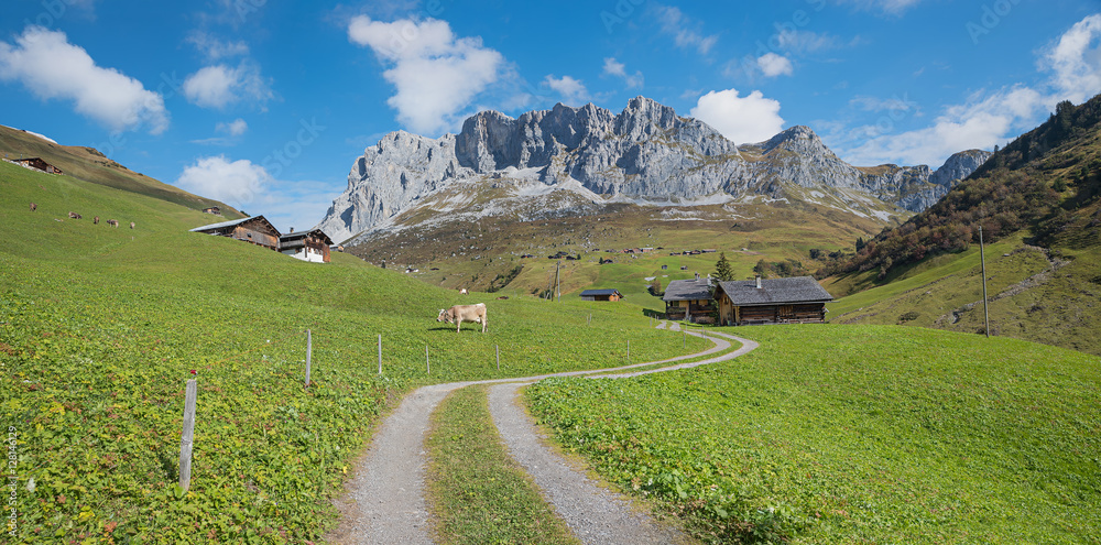 kurviger Wanderweg in malerischer Schweizer Alpenlandschaft