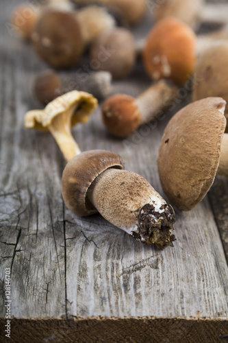 Raw mushrooms on a wooden table. Boletus edulis and chanterelles