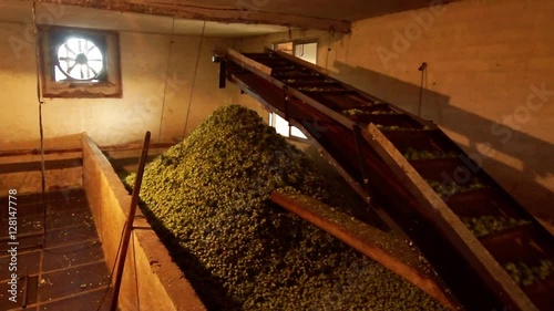 hops farmers working with hop picking machine , Villoria village , Leon, Spain ; 1900x1080 HD video photo