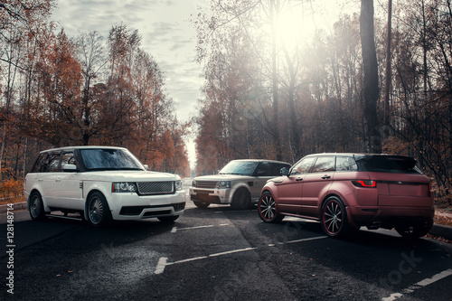 Three cars parked at autumn forest asphalt road