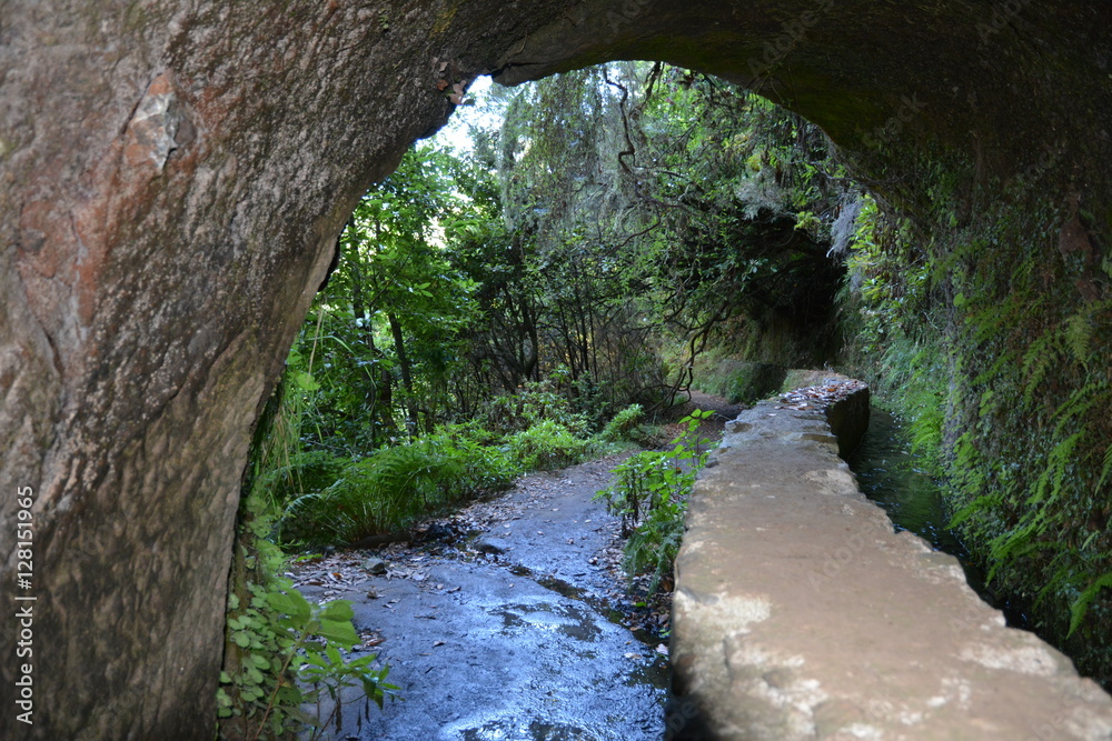Fototapeta premium Caldeiro Verde, MADERE.