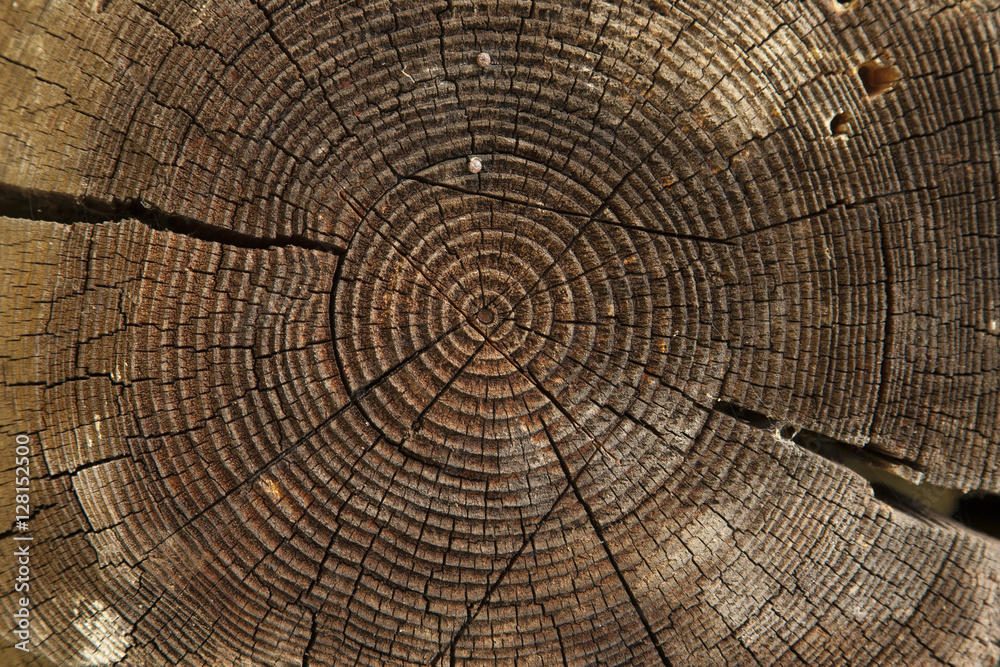 Fototapeta premium stara drewniana deska