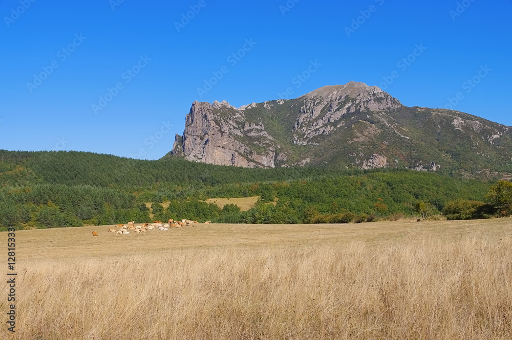Fototapeta premium Pic de Bugarach im Süden Frankreichs, Corbieres - Pic de Bugarach in southern France