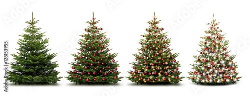 Weihnachtliche Tannenbäume photo