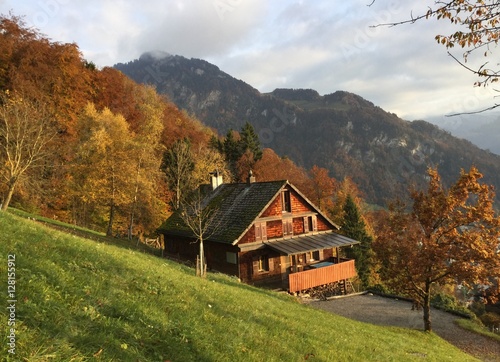 Augenweide / Herbst in den schweizer Alpen (an der Rigi oberhalb von Vitznau)