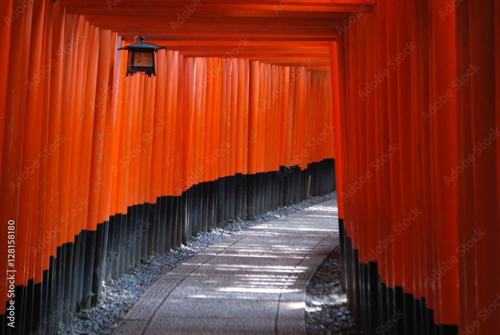 Fototapeta premium Fushimi Inari-taisha Shrine Kyoto Japan Architecture Orange torii gates Tunnel