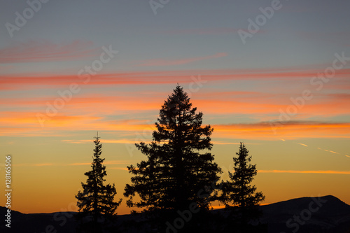 Christmas winter background with fir tree and colorful clouds at © danmir12