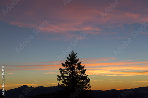 Christmas winter background with fir tree and colorful clouds at