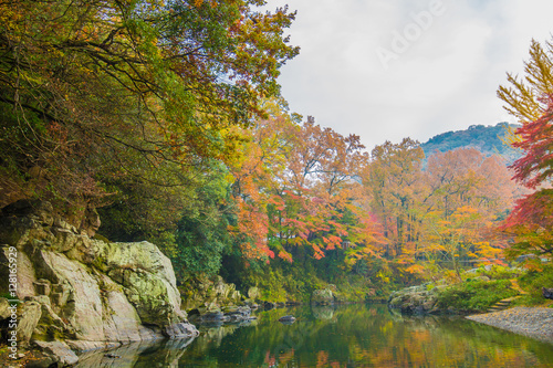 紅葉の景色