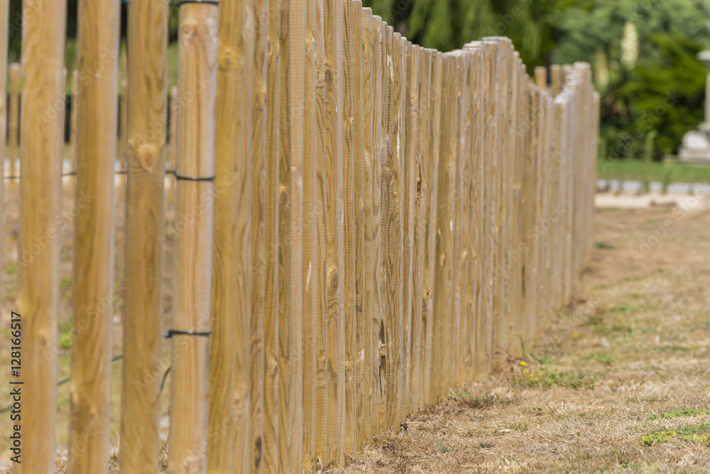 Fototapeta premium Line of wood poles.