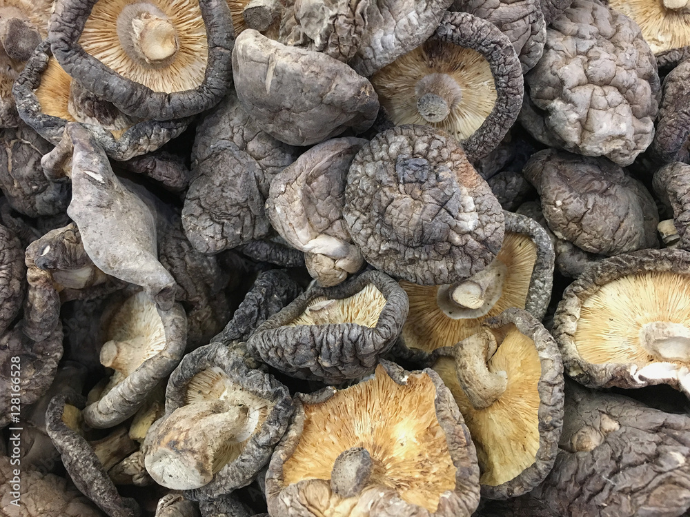 dried shitake mushroom dried shitake mushroom
