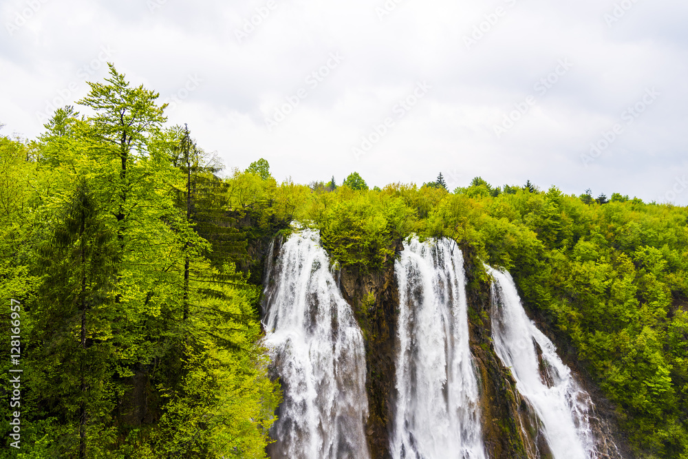 Naklejka premium The Plitvice Lakes National Park - Plitvice, Croatia, Europe