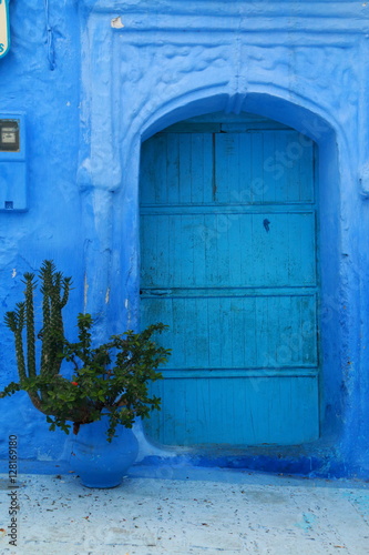 Ornamental plant next to old blue door © juanorihuela