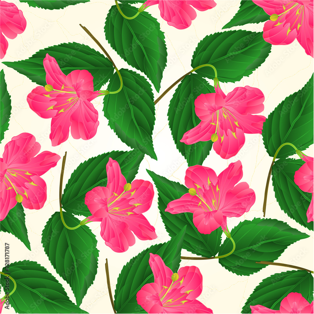 Seamless texture Pink flower decorative shrub Weigela vintage vector illustration