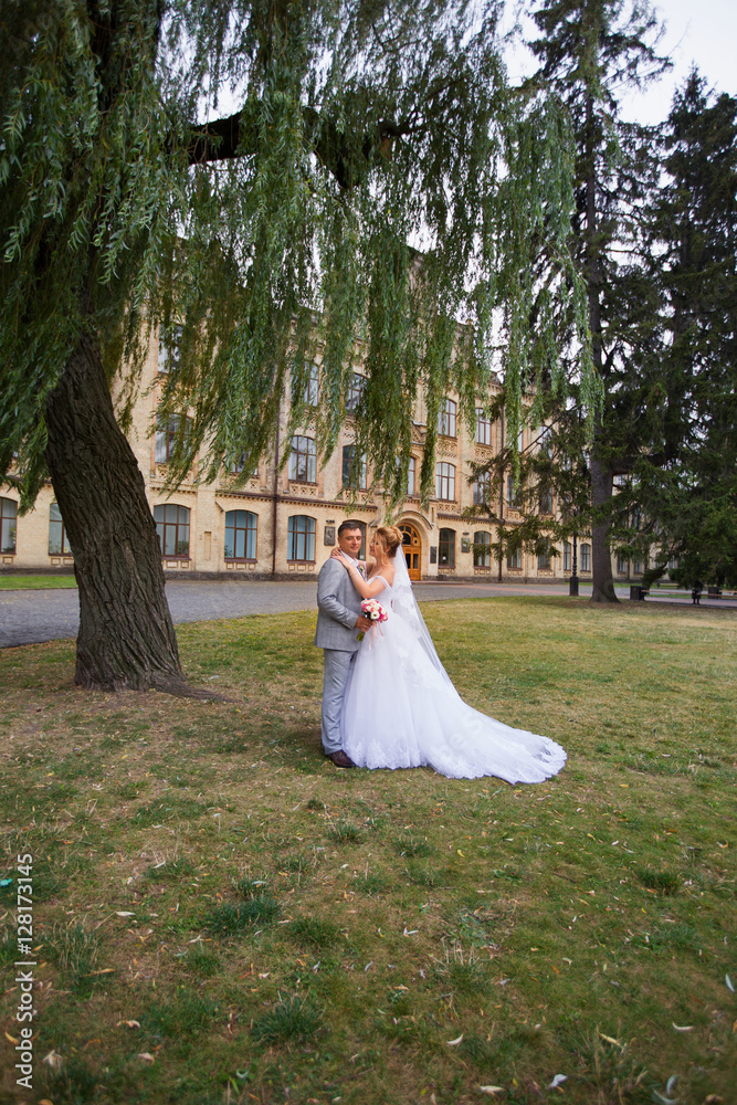 The bride in a dress with a train put her hands on the shoulders of the groom The bride in a dress with a train put her hands on the shoulders of the groom
