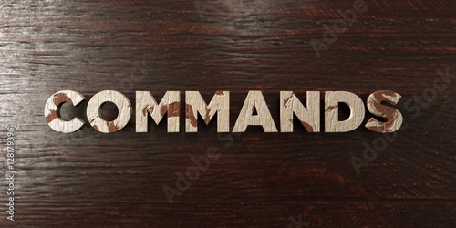 Foto Commands - grungy wooden headline on Maple  - 3D rendered royalty free stock image