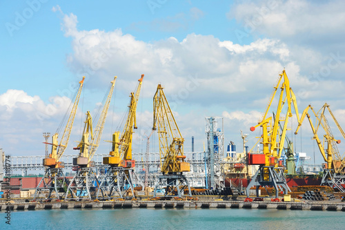 Port cargo crane